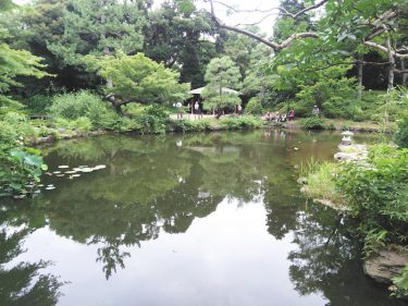 早稲田のおすすめ場所：甘泉園（かんせんえん）公園